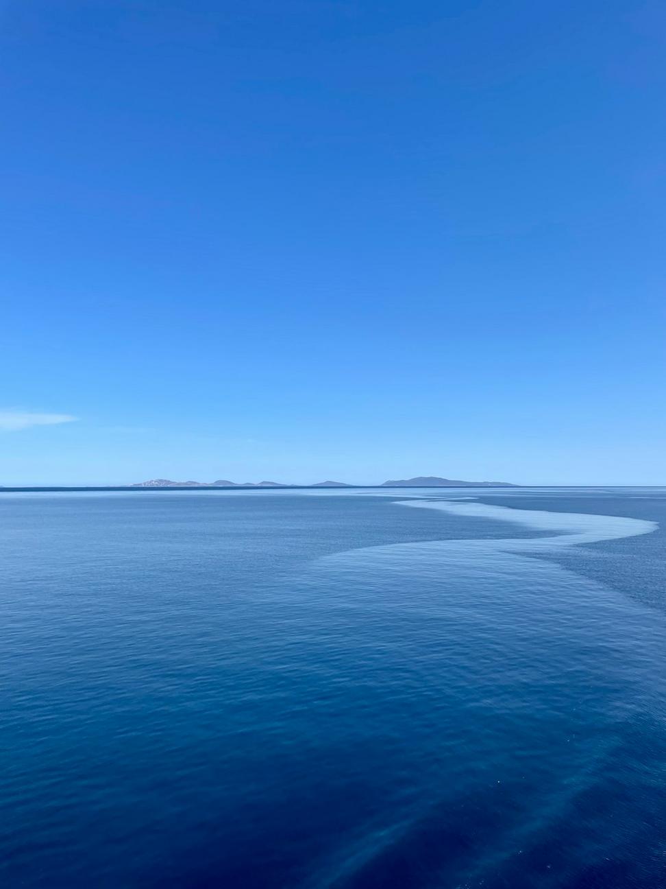 Infinity Pool